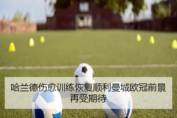 哈兰德伤愈训练恢复顺利曼城欧冠前景再受期待